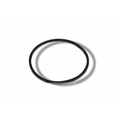 Anillo de sellado entre 2473 y 2487 (wns 13s4x)