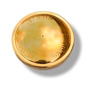 Swivel cap for gasoline