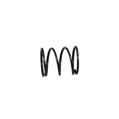 Coil spring for 39541 (wsf 2034/1 x)