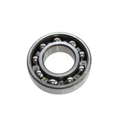 Front ball bearing (6207), ina/fag