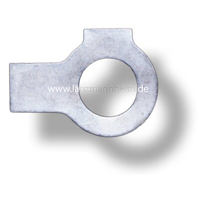 Placa de bloqueo para los tornillos de fijacin