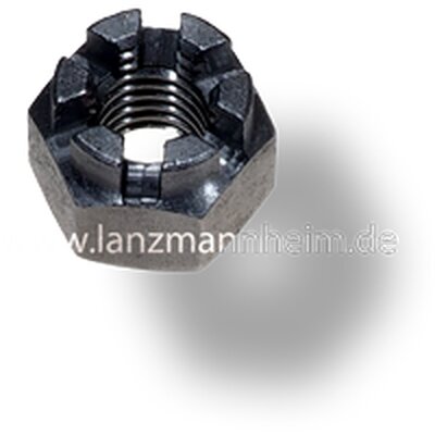 Noix de chteau pour 62222