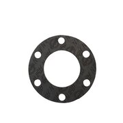 Guarnizione per questo (Klingerit 1 mm)