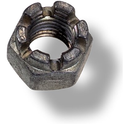 Noix de chteau pour 174012