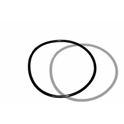 Round sealing ring (55x2 v 5 - 825 21 Pe/716) for this purpose