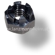 Noix de chteau pour 40285