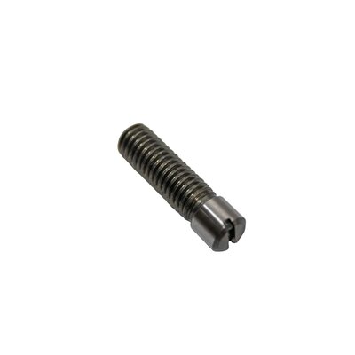 Shaft screw (m 8x21) for 60936