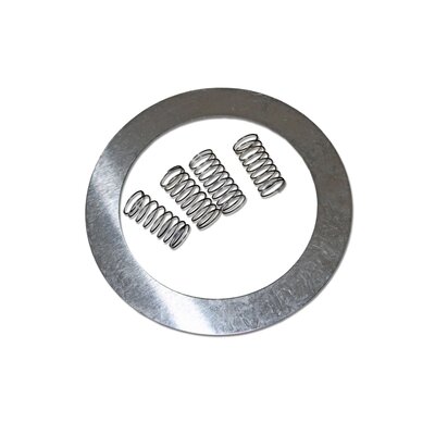 Ring valve incl. springs