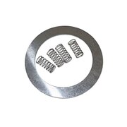 Ring valve incl. springs