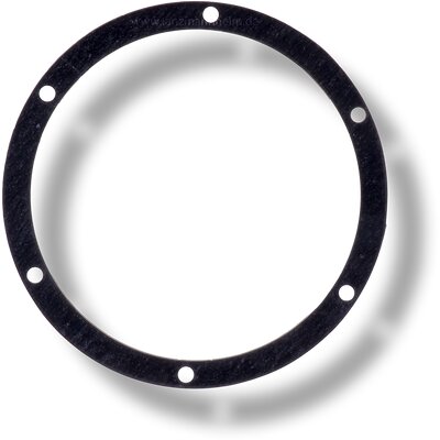 Gasket for 52910