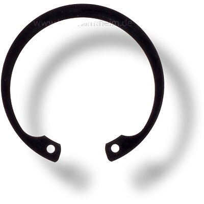 Seegerring fr 163604