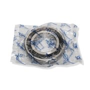 Roulement rainur (6209) sur 275458 (45x85  19 br.)