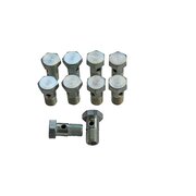 Bullone Banjo per linea di riempimento e scarico