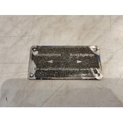 Grimpereau de bouclier