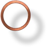 Anello di tenuta per questo (nmr49/7 x)