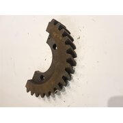 Schneckenrad Segment 10 Liter/50/60PS