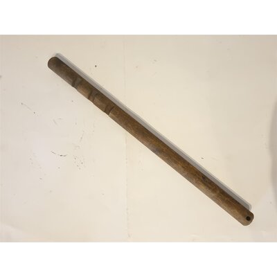 Asta dellinterruttore