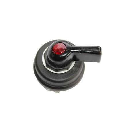 Blinker switch, rotary switch, dual-circuit switch