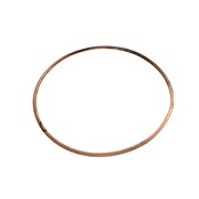 Sealing ring, copper, between 4001 and 4016