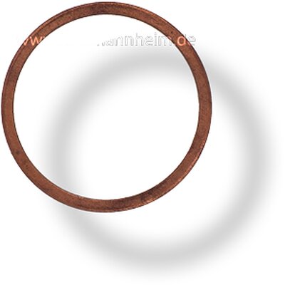 Dichtungsring zu 21133