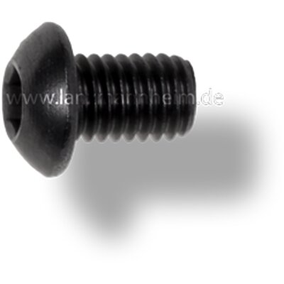 Vite mezzotonda per 61504a