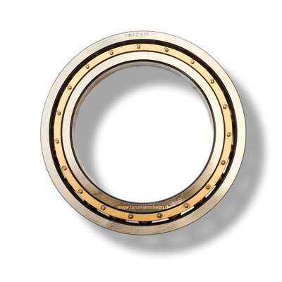 Terrazza dellUniversit (Fi 16126)