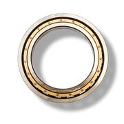 Terrasse de luniversit (Fi 16126)