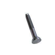 Tornillo (M10x1)