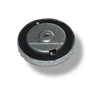 Swivel cap for fuel