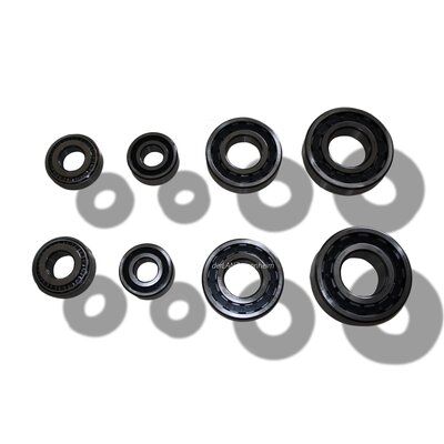 Set di cuscinetti per riduttori 10 litri, d8506, d9506, d1506, d1506, 1-4 alberi