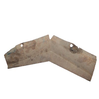 Protection pour tambour de frein