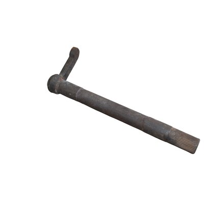 Arbre de pouce 5 litres