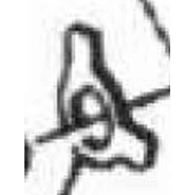 Sicherungsblech dazu