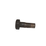 BSW 3/4x55mm 6-Kant Schraube