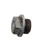 Screw plug (M26x1,5) for oil drain and oil control