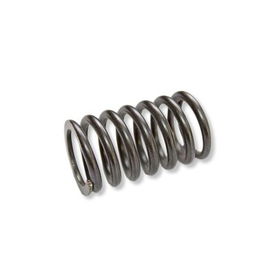 Ressort hlicodal pour le piston de la pompe (psf9s4x)