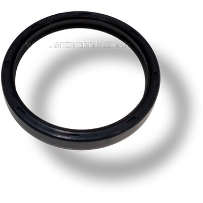 Anillo de sello de aceite para 173059