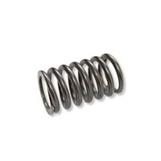 Molla a spirale per 166615 (psf9s4x)